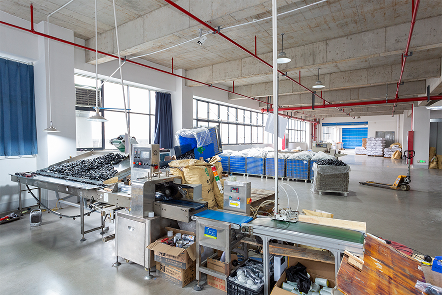 Workshop